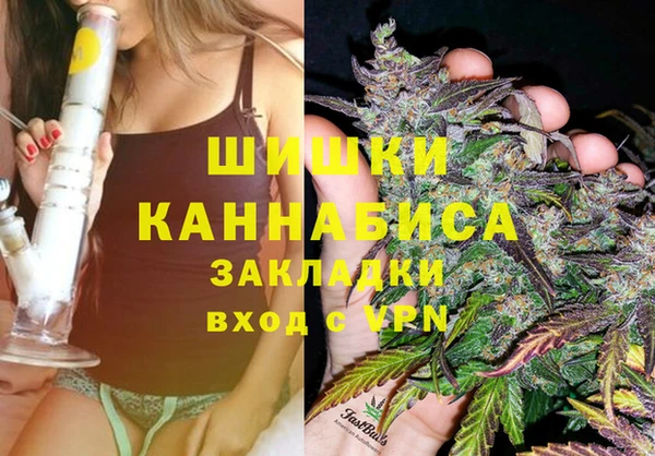 ГАЛЛЮЦИНОГЕННЫЕ ГРИБЫ Верхний Тагил