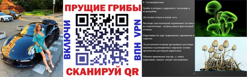 наркота  Карачев  Псилоцибиновые грибы MAGIC MUSHROOMS 